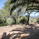 Del Palmeto * Badesi