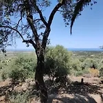Del Palmeto Holiday home Badesi