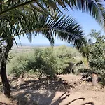 Del Palmeto Holiday home Badesi