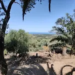 Del Palmeto 度假居