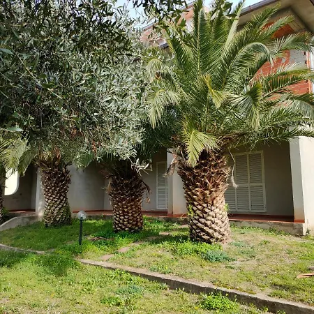 Del Palmeto