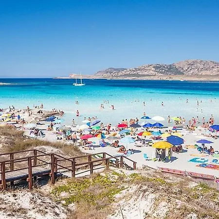 Del Palmeto Tatil Evi