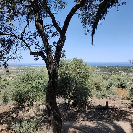 Del Palmeto Ferienhaus Badesi
