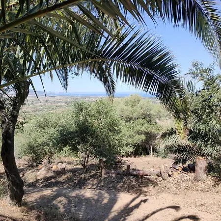 Del Palmeto Ferienhaus Badesi