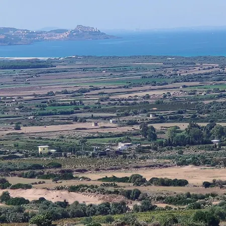 Del Palmeto باديسي