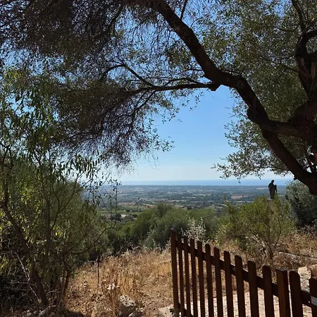 Del Palmeto Holiday home Badesi