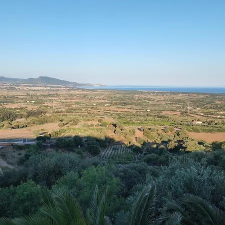 Del Palmeto *