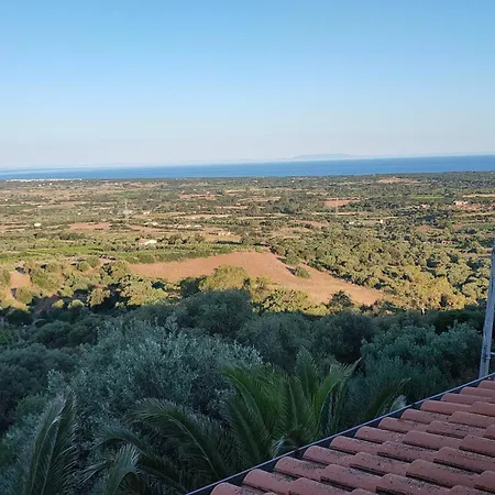 Del Palmeto