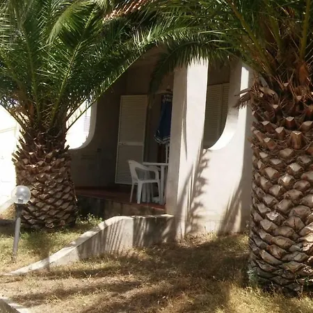 Del Palmeto باديسي