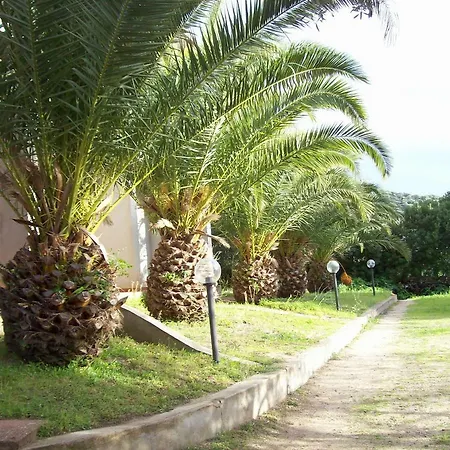 Del Palmeto