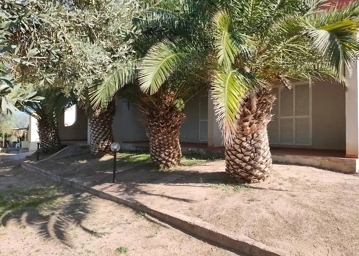 Del Palmeto * باديسي