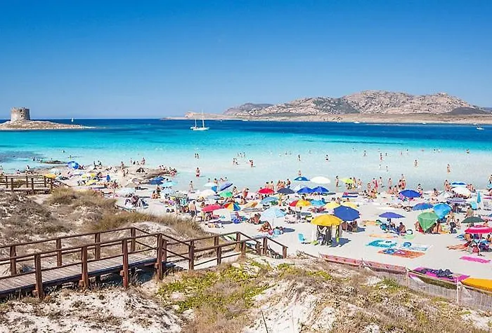 Del Palmeto بيت للعطل