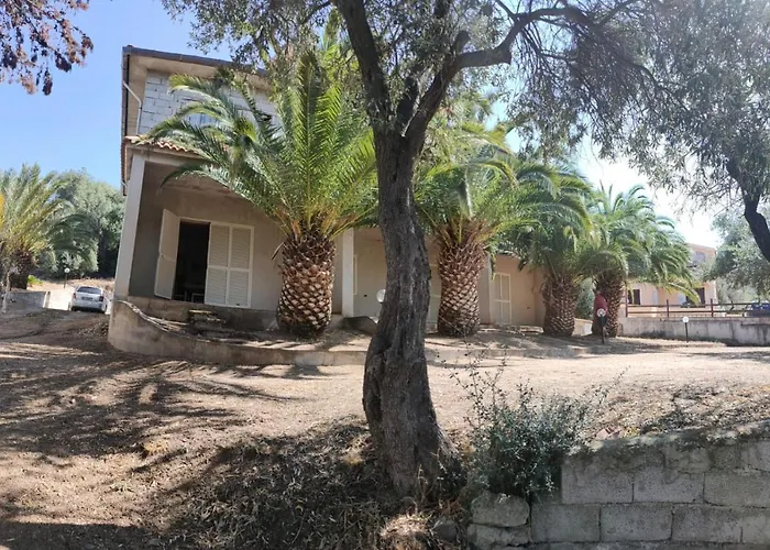 Del Palmeto بيت للعطل