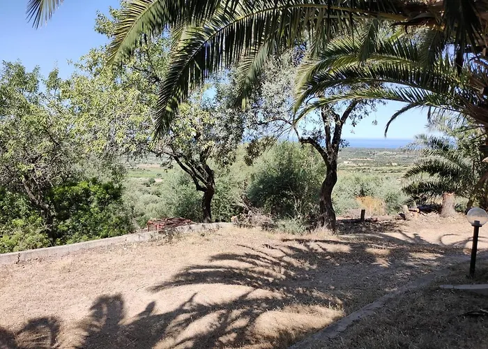 Del Palmeto * باديسي