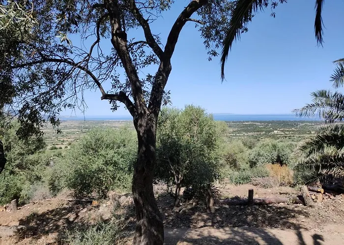 Del Palmeto بيت للعطل باديسي