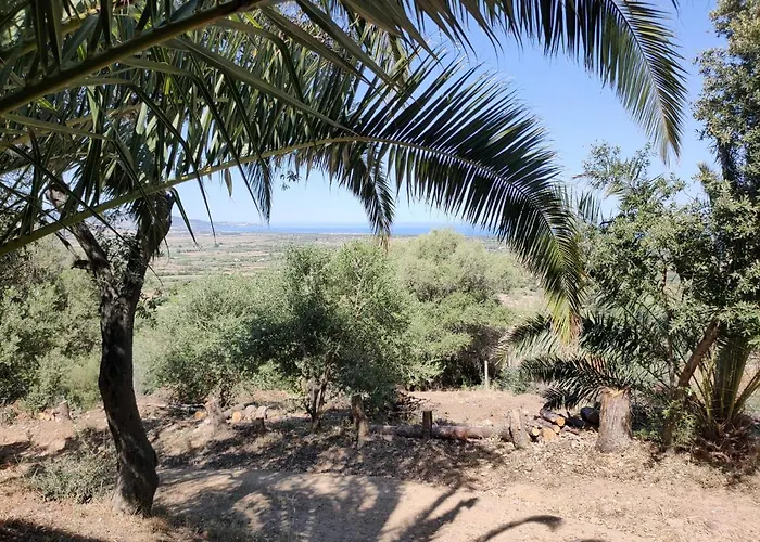 Del Palmeto بيت للعطل باديسي