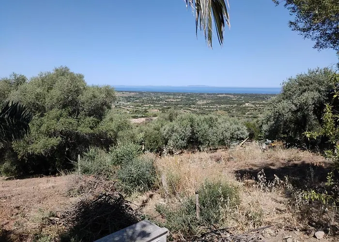 Del Palmeto بيت للعطل باديسي