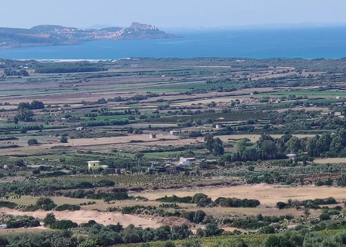 Del Palmeto باديسي