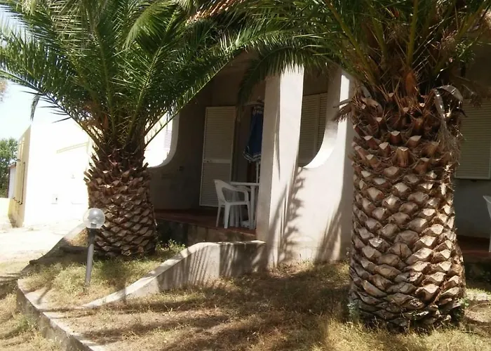 Del Palmeto باديسي