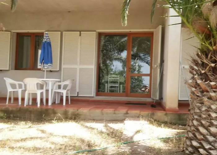 Del Palmeto * باديسي