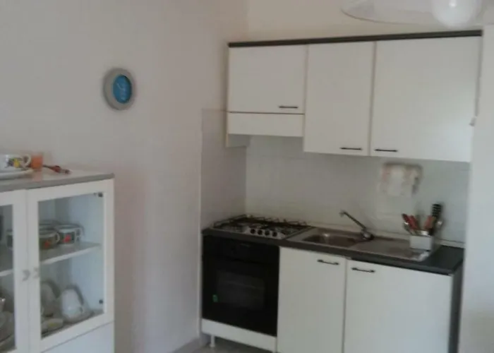 Del Palmeto باديسي