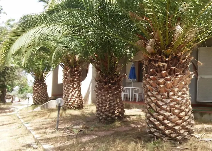 بيت للعطل Del Palmeto